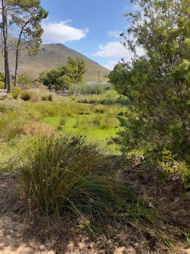 0 Bedroom Property for Sale in Bot River Western Cape